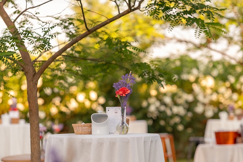 LH-ESPACIOS-Huerta-01